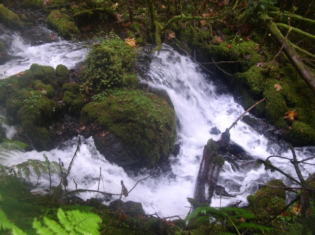 10.28.05 Devil's Rest 039 